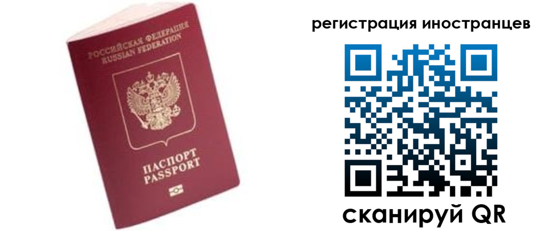 прописка гарантия в Кохме